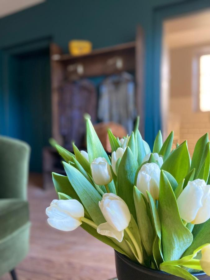 La Tour Yveline Bed & Breakfast Romans-sur-Isère Dış mekan fotoğraf